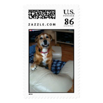 Cute dog stamp template stamps