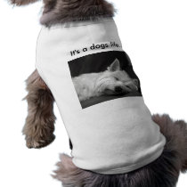 Cute Dog T-Shirt pet clothing