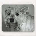 Cute Dog - Westie (West Highland Terrier) mousepads