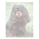 Cute Dog with curls Letterhead Design