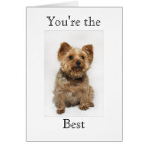 Cute Dog You're the Best Card
