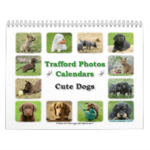 Cute Dogs Calendar