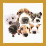 Cute Dogs Wall Canvas canvas prints