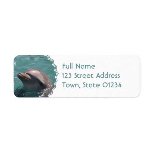 Cute Dolphin Address Labels Zazzle