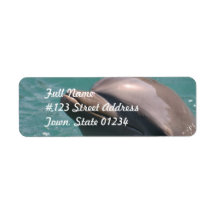 Cute Dolphin Mailing Labels