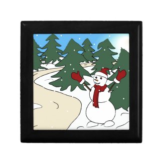 Cute dressed up snowman gift boxes