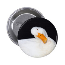 Cute Duck Button