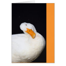 Cute Duck Card