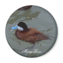 Cute duck in water magnets by MerryRose Cute duck in water magnets