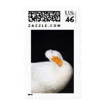 Cute Duck Postage Stamp