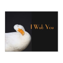 Cute Duck Postcard