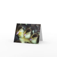 Cute Ducklings Note Card card