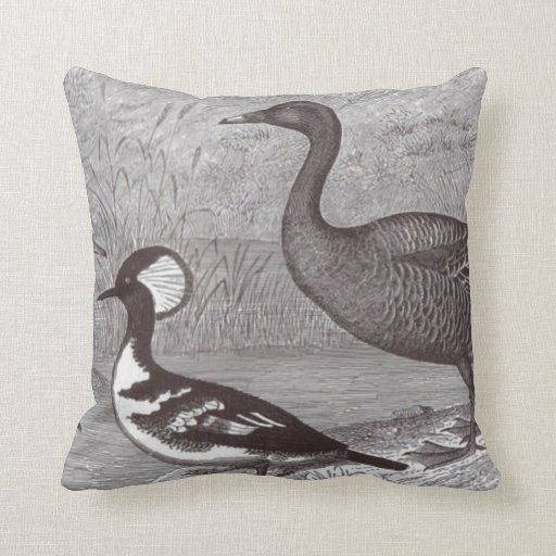 Cute Ducks Black and White Accent Throw Pillows Zazzle