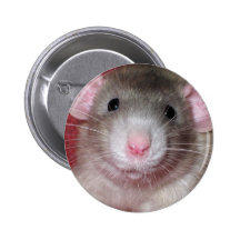 Cute Dumbo Rat Buttons
