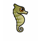 Cute Dwarf Seahorse 