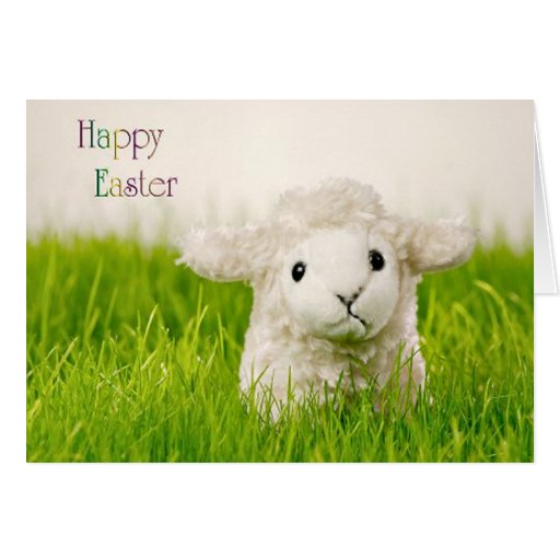 Cute Easter Lamb Greeting Card Zazzle