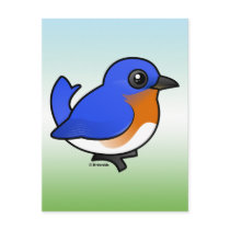 Cute Eastern Bluebird Postcard