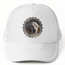 Cute English Setter Baseball Hat