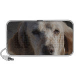 Cute English Setter Portable Speakers