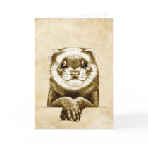 Cute Ferret cards