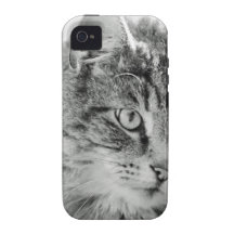 Cute Fluffy Cat Face Vibe iPhone 4 Covers