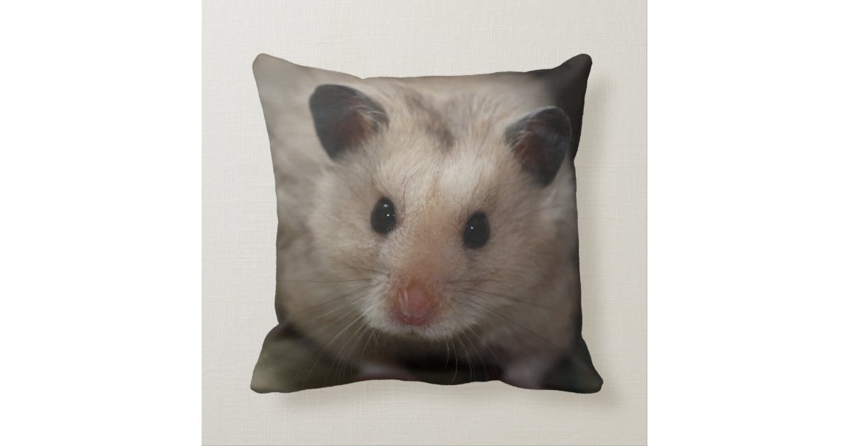 hamster pillow pet