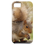 Cute Fluffy Squirrel iPhone 5 Case