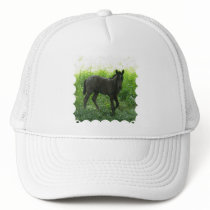Cute Foal Baseball Hat