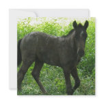 Cute Foal Invitations