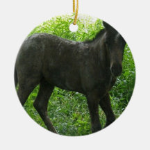 Cute Foal Ornaments