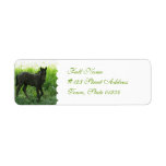 Cute Foal Return Address Mailing Label