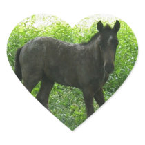 Cute Foal Stickers