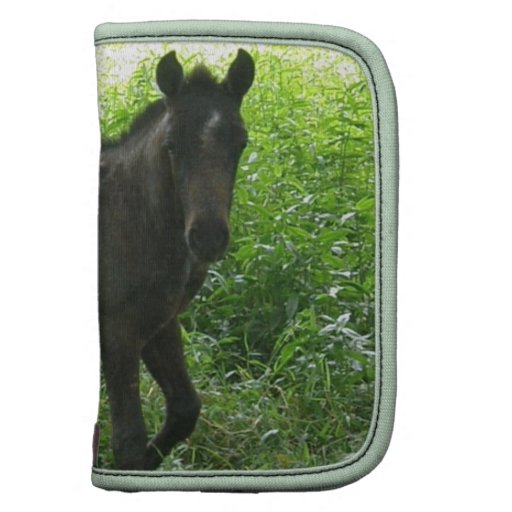 Cute Foal Wallet Folio Planners