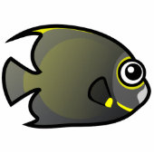 Cute French Angelfish 