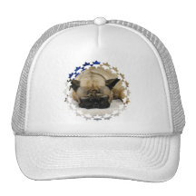 Cute French Bulldog Baseball Hat