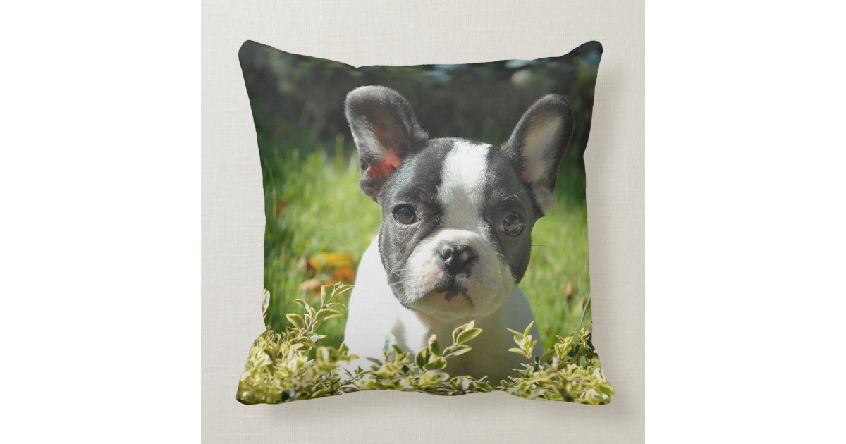 Cute French Bulldog Puppy Throw Pillow Zazzle
