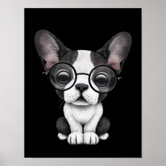 Cute French Bulldog Puppy with Glasses, black Poster