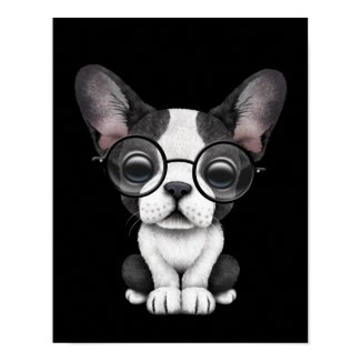 Cute French Bulldog Puppy with Glasses, black Poster