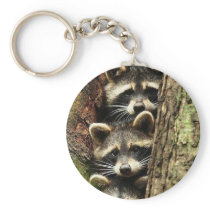 cute_funny_animals_41 Three Raccons Tree trunk Keychain