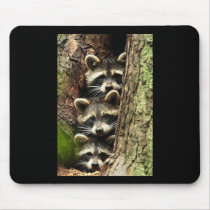 cute_funny_animals_41 Three Raccons Tree trunk Mouse Pad
