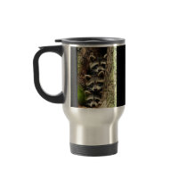 cute_funny_animals_41 Three Raccons Tree trunk Coffee Mug