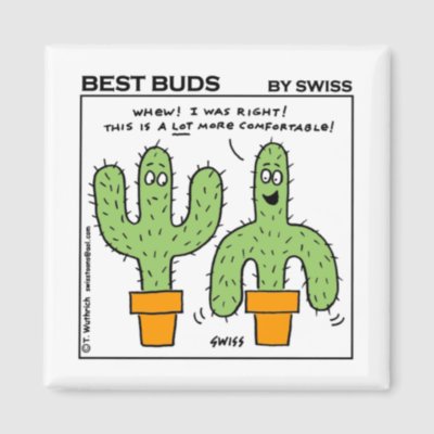 cute cactus cartoon