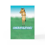 outstanding in your field, horse, field,