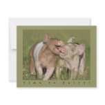 Cute Funny Piglets Birthday Party Personalized Invite