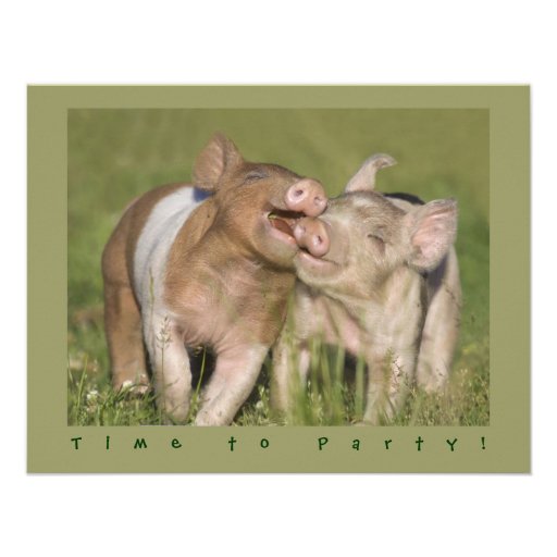 Cute Funny Piglets Birthday Party Personalized Invite