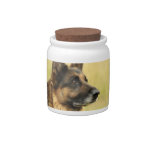 Cute German Shepherd Candy Jar