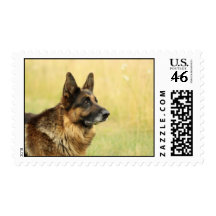 Cute German Shepherd Postage Stamp