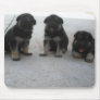 Cute German Shepherd Puppy Mouse Pad