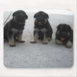 Cute German Shepherd Puppy Mouse Pad