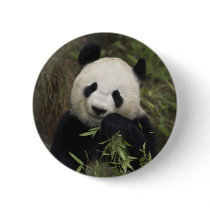 Cute Giant Panda Button